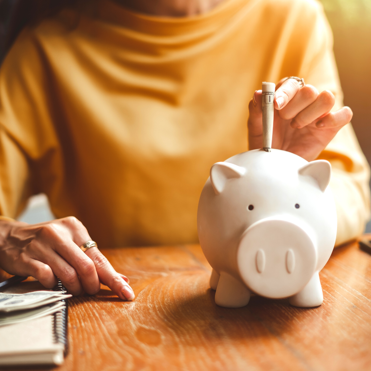 picture-of-person-using-piggy-bank